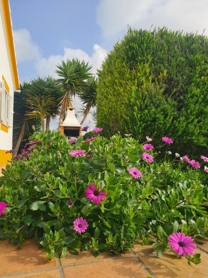 Casa Ensolarada B&B And Pottery 알제주르 외부 사진