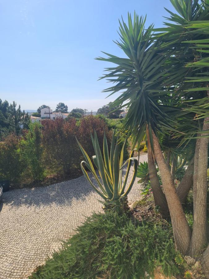 Casa Ensolarada B&B And Pottery 알제주르 외부 사진